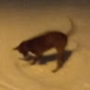 Meet your Posher, Kat